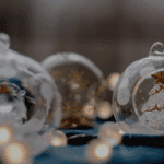 Festive Season 2025 / 2026